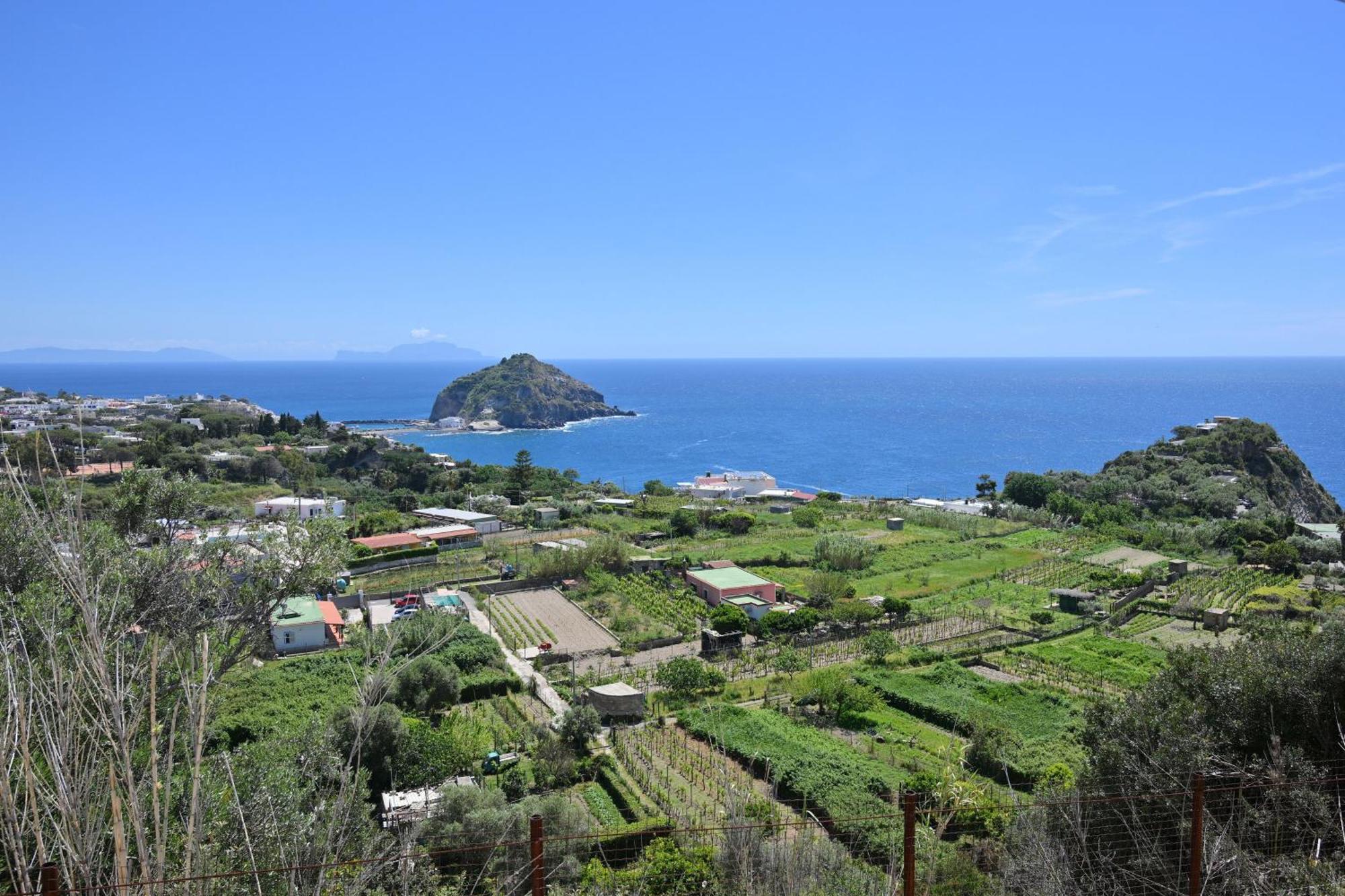 Sant'Angelo  Villa Eleonora, Un Angolo Di Paradiso Ad Ischia מראה חיצוני תמונה