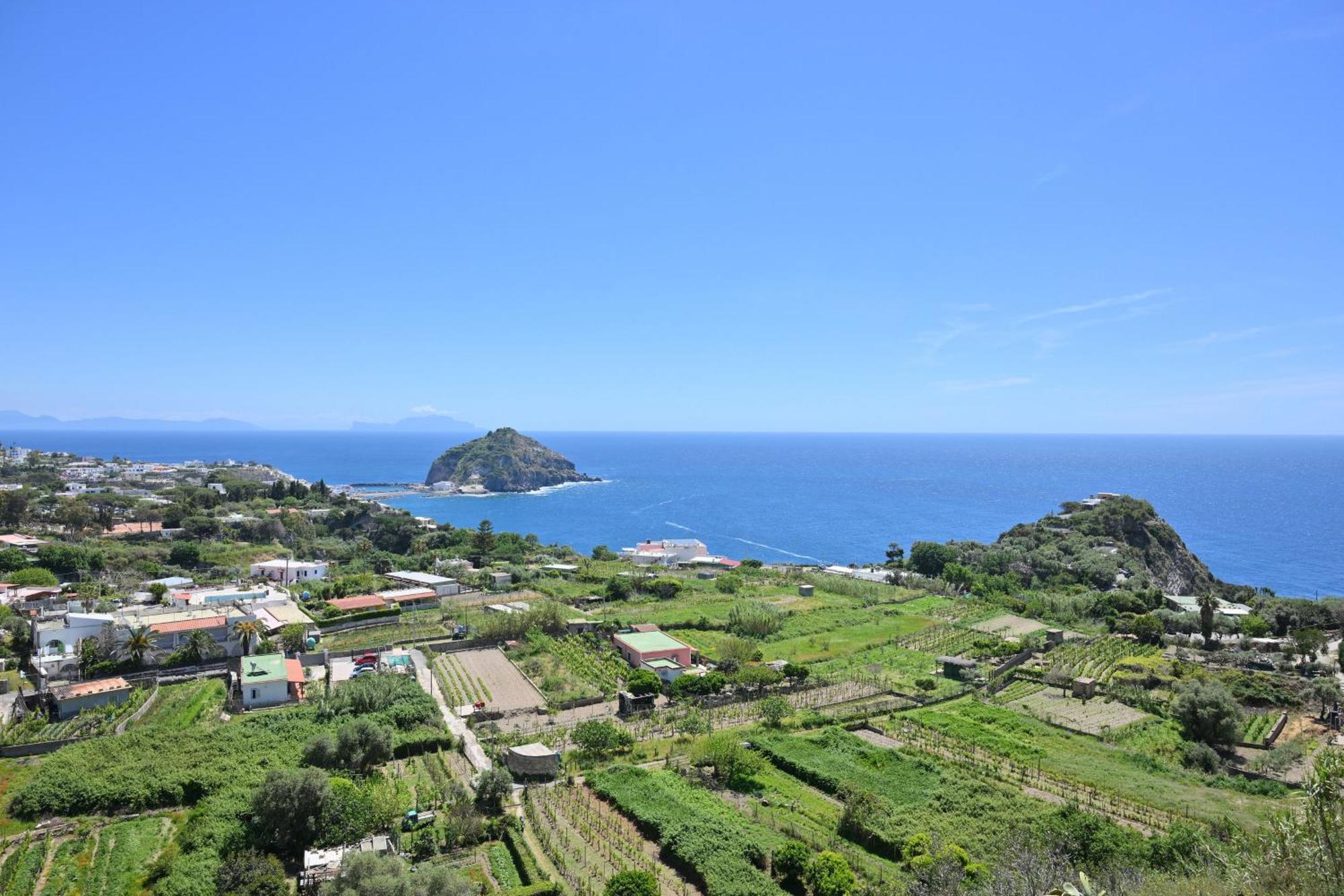 Sant'Angelo  Villa Eleonora, Un Angolo Di Paradiso Ad Ischia מראה חיצוני תמונה