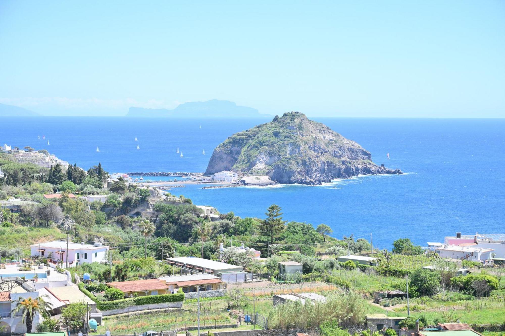 Sant'Angelo  Villa Eleonora, Un Angolo Di Paradiso Ad Ischia חדר תמונה