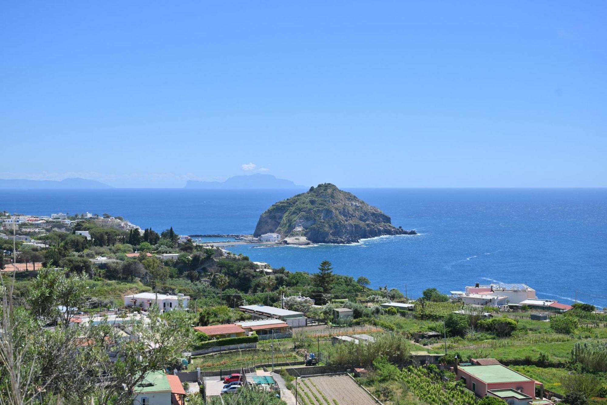 Sant'Angelo  Villa Eleonora, Un Angolo Di Paradiso Ad Ischia חדר תמונה